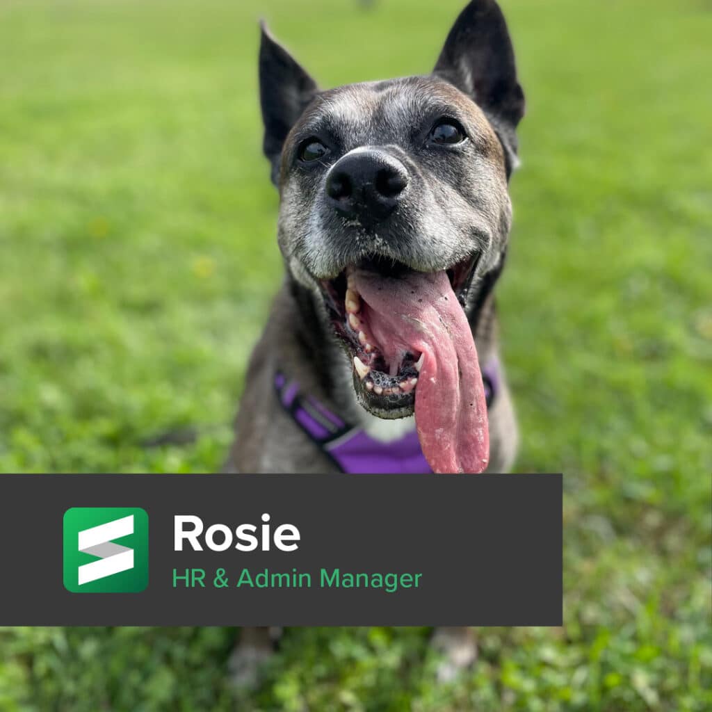 Rescue Dogs 10 1024x1024