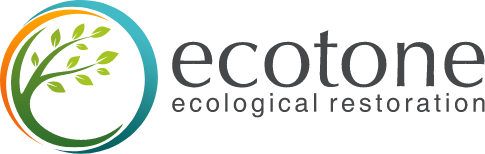 ecotone