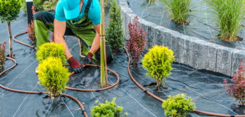 BLOG_Trades_Small-Landscaping