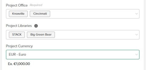 Project-Level Currency