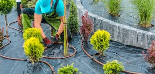 SummerCrunch_Landscaping_img__BLOG_SummerSurvival_sm